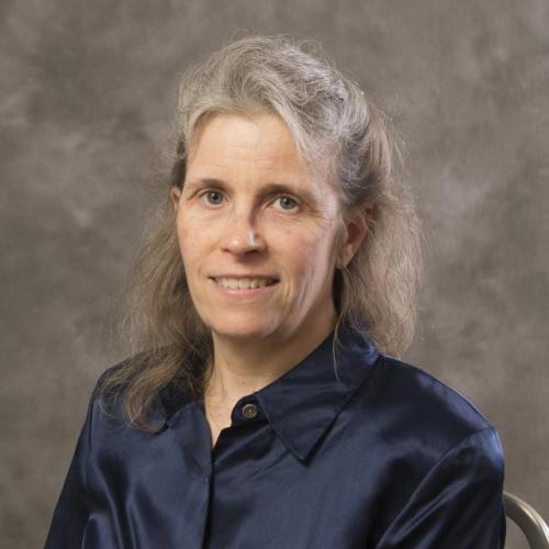 Susan Trolier-McKinstry headshot