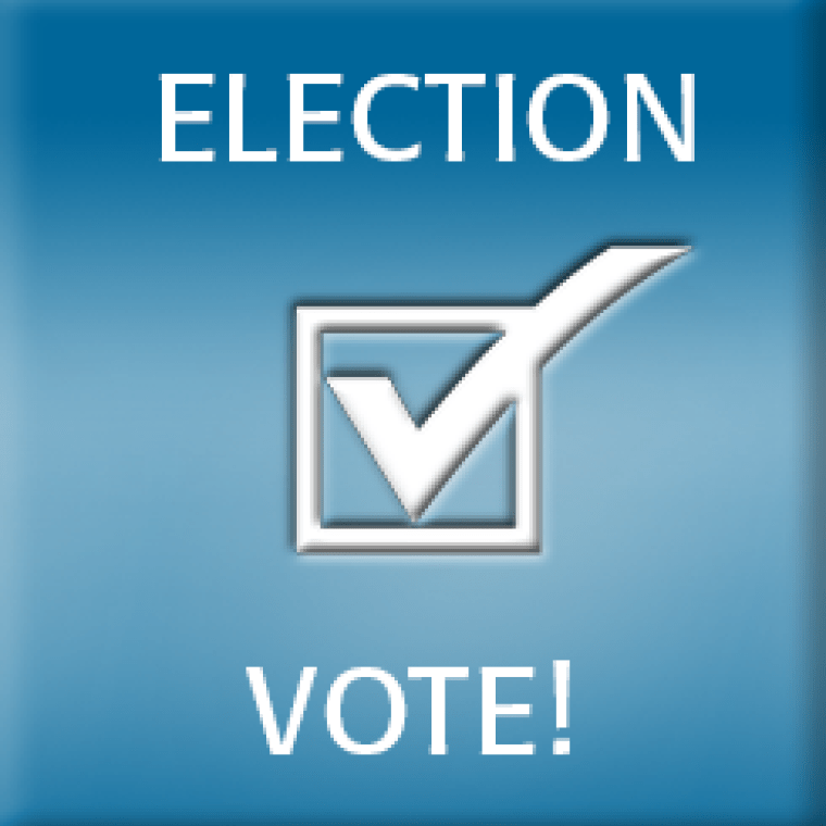 Election vote button