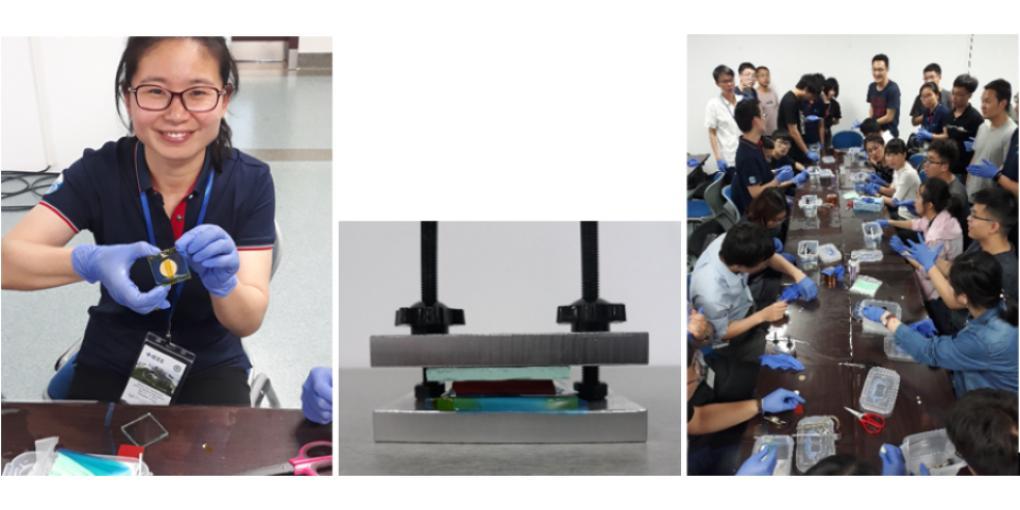 2019 IEEE UFFC-S Special Topic School