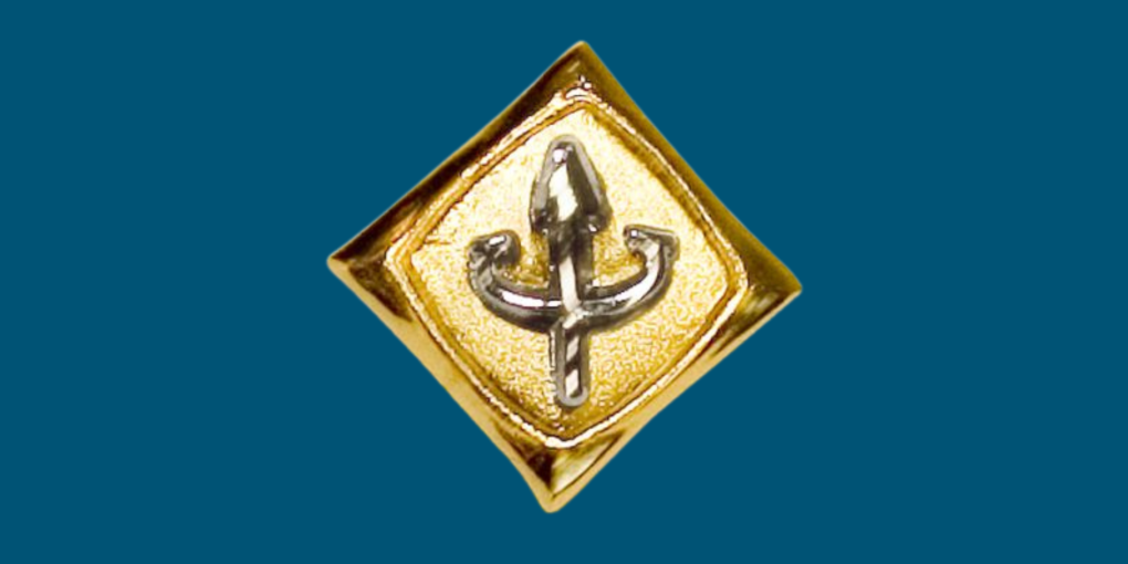 Fellows Pin
