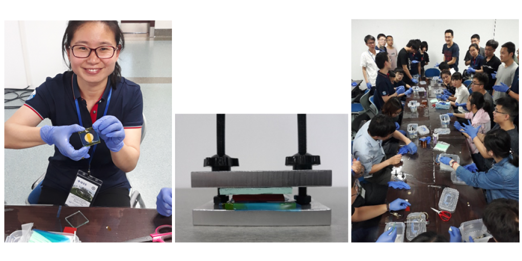 Transducer School