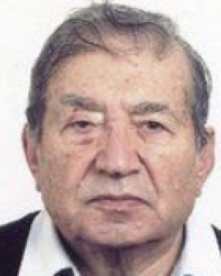 Vladimir Fridkin image